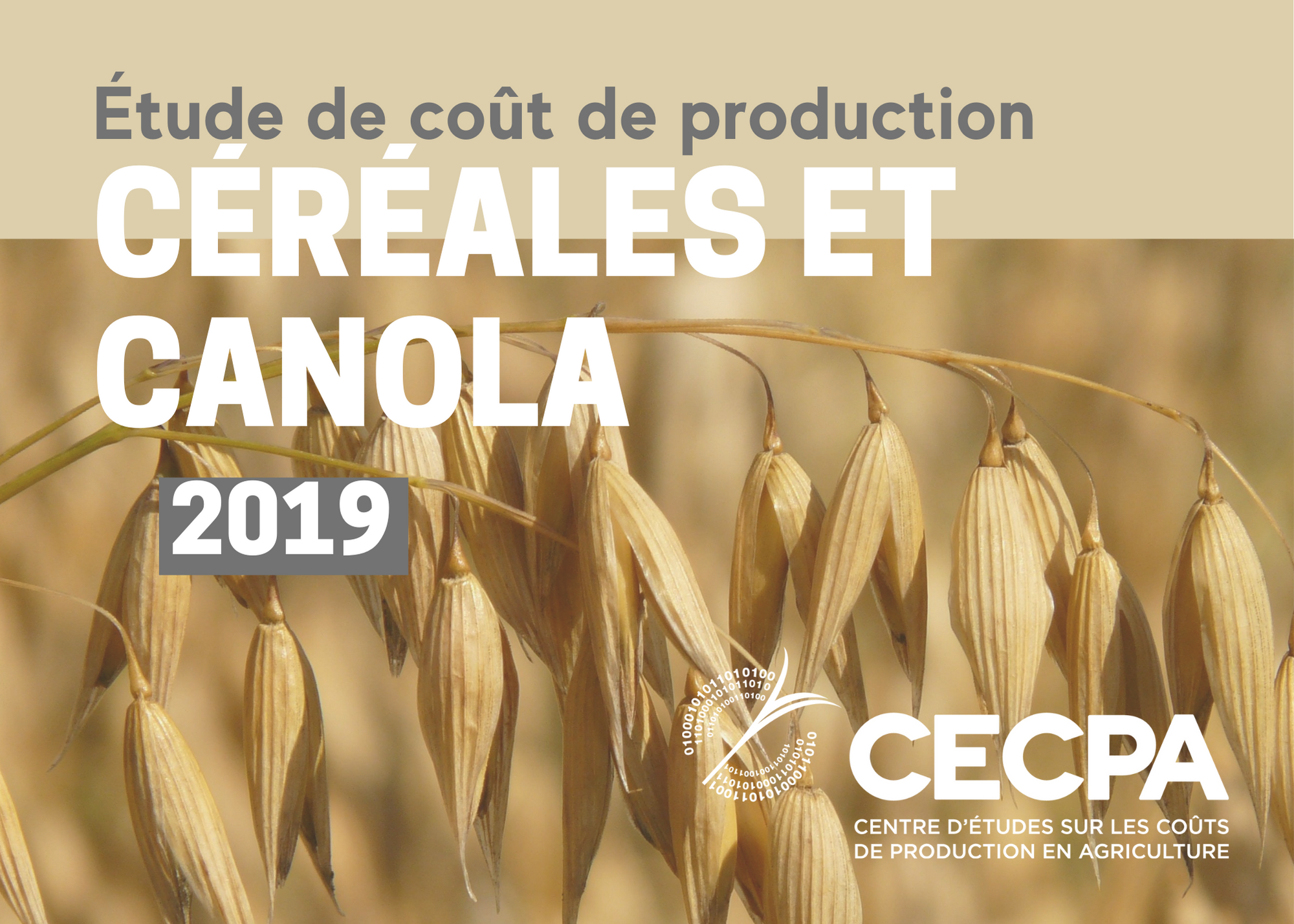 Études de coûts de production : ÉTUDE DE COÛT DE PRODUCTION - CÉRÉALES ET CANOLA 2019